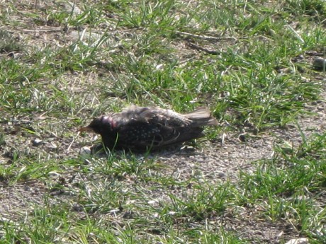 IMG_1235.jpg