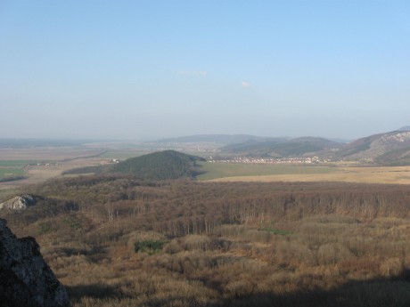 IMG_1275.jpg