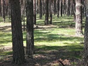 img_2251.jpg