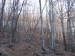 IMG_1164.jpg