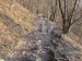 IMG_1309.jpg