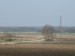 IMG_1347.jpg