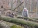IMG_3982.jpg