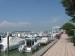IMG_7991.jpg